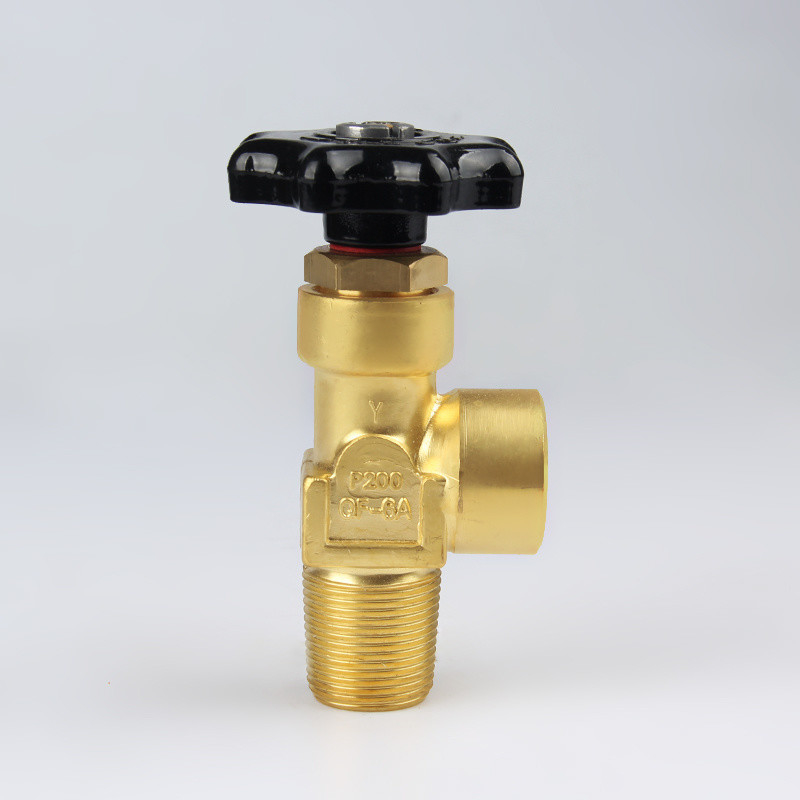                  Gas Oxygen Cylinder Valve Qf-6A for Southeast Asia Market              supplier